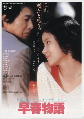 电影《莫斯科行动》海报